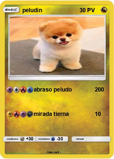 Pokemon peludin