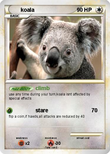 Pokemon koala