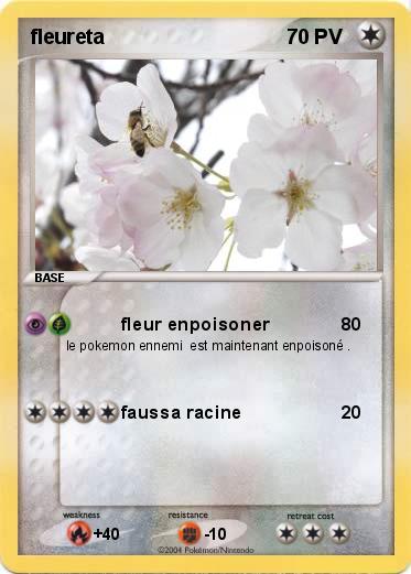 Pokemon fleureta