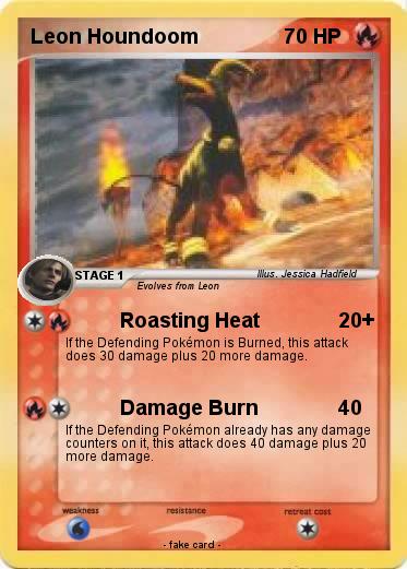 Pokemon Leon Houndoom