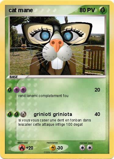 Pokemon cat mane