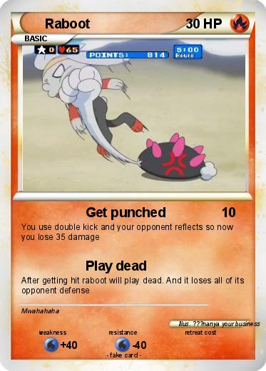 Pokemon Raboot
