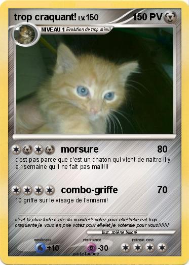 Pokemon trop craquant!