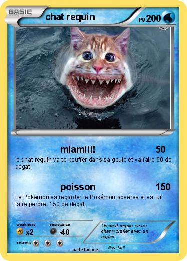 Pokemon chat requin