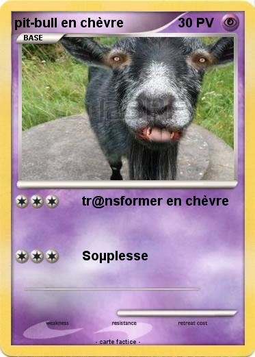 Pokemon pit-bull en chèvre