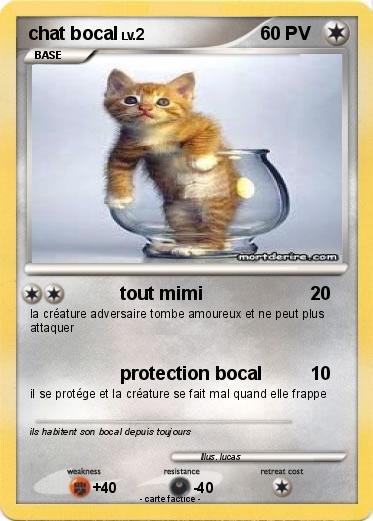 Pokemon chat bocal