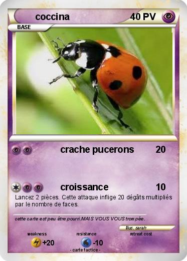 Pokemon coccina