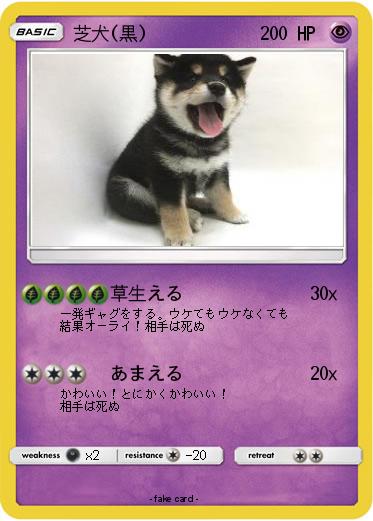 Pokemon 芝犬(黒)