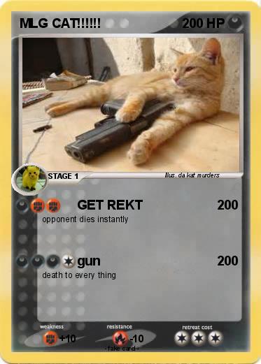 Pokemon MLG CAT!!!!!!