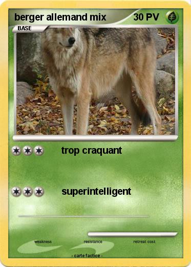 Pokemon berger allemand mix