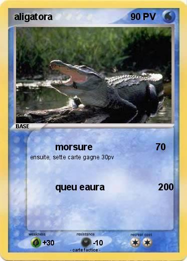 Pokemon aligatora