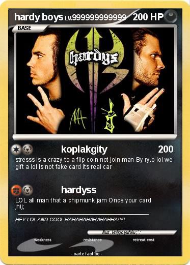 Pokemon hardy boys