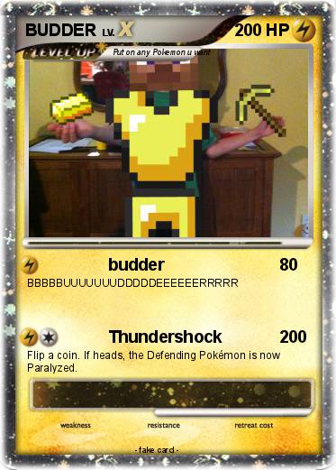 Pokemon BUDDER