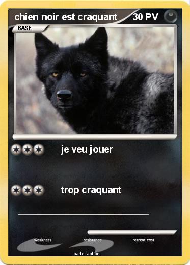 Pokemon chien noir est craquant