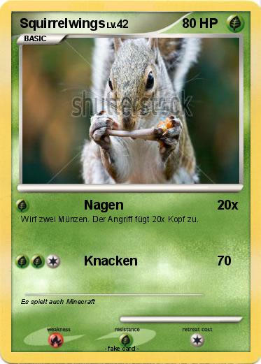 Pokemon Squirrelwings