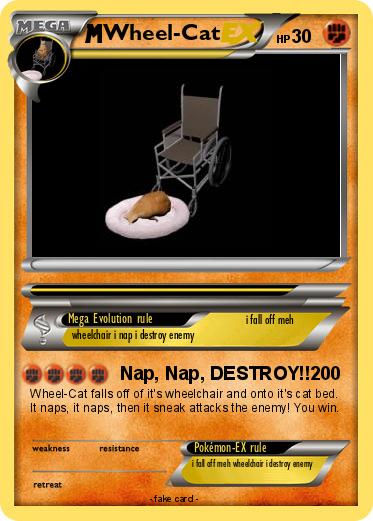 Pokemon Wheel-Cat