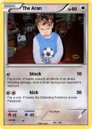 Pokemon The Aran
