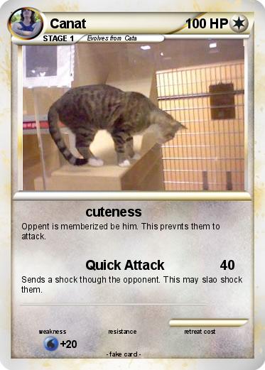 Pokemon Canat