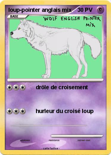 Pokemon loup-pointer anglais mix