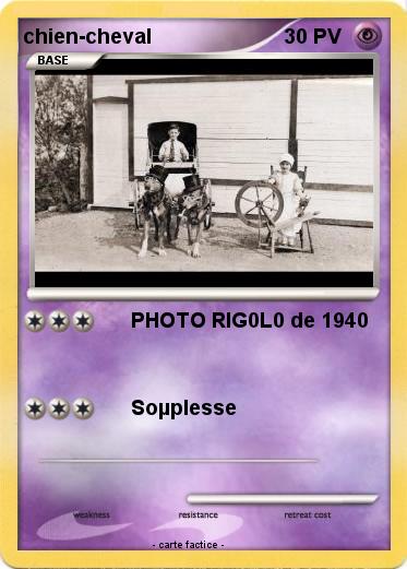 Pokemon chien-cheval