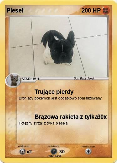 Pokemon Pieseł