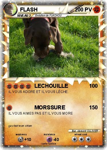 Pokemon FLASH