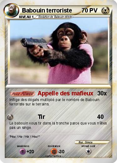 Pokemon Babouin terroriste
