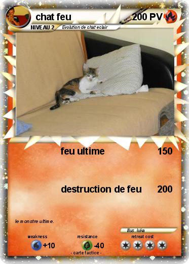 Pokemon chat feu