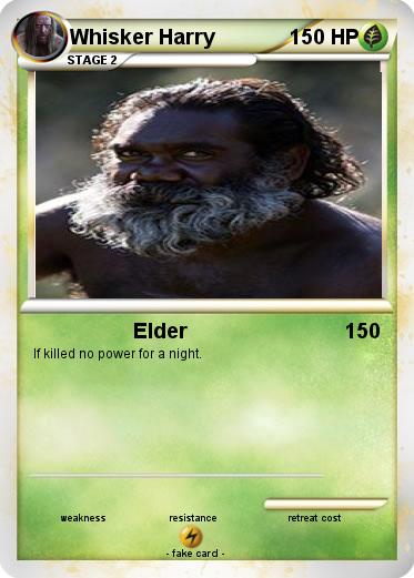 Pokemon Whisker Harry