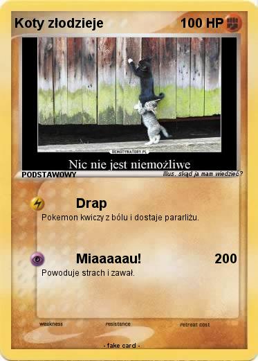 Pokemon Koty złodzieje