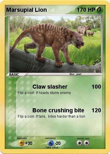 Pokemon Marsupial Lion