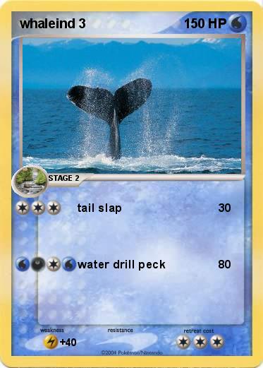 Pokemon whaleind 3