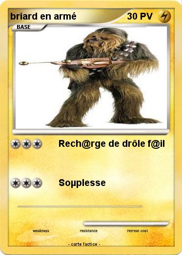 Pokemon briard en armé