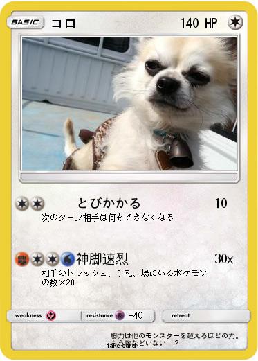 Pokemon コロ