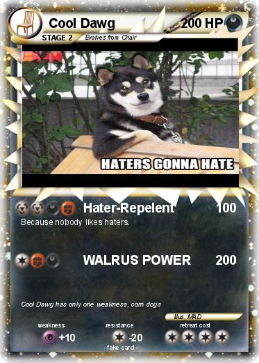 Pokemon Cool Dawg