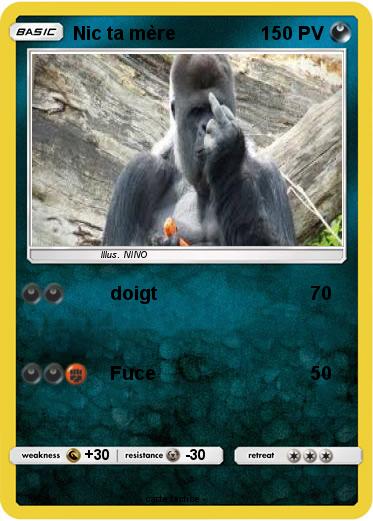 Pokemon Nic ta mère