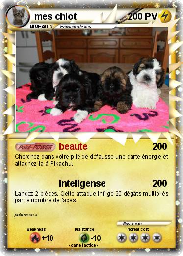 Pokemon mes chiot