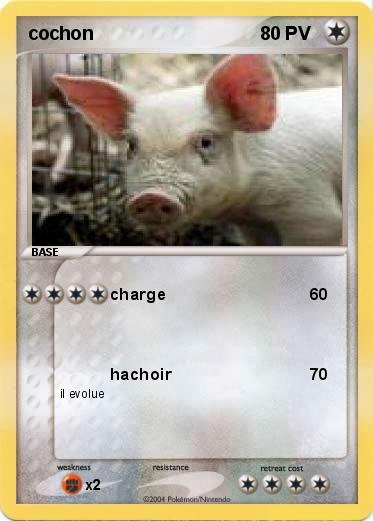 Pokemon cochon
