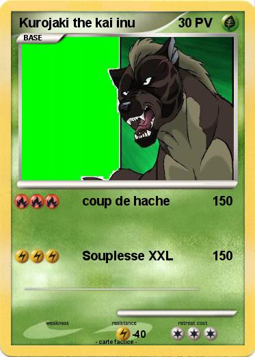 Pokemon Kurojaki the kai inu