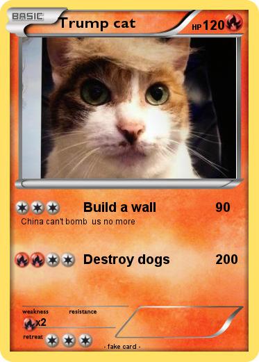 Pokemon Trump cat