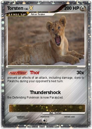 Pokemon Torsten