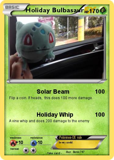 Pokemon Holiday Bulbasaur