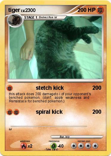 Pokemon tiger