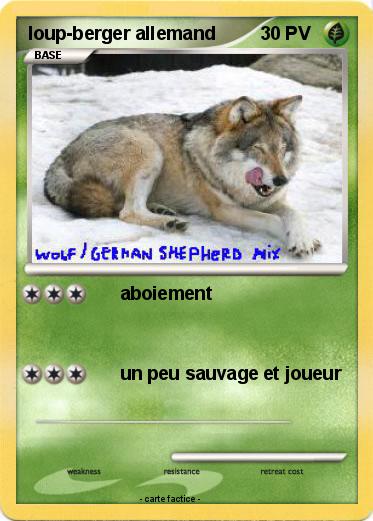Pokemon loup-berger allemand