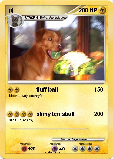 Pokemon pj