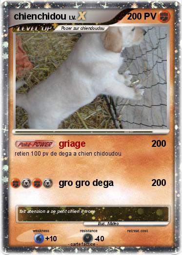 Pokemon chienchidou