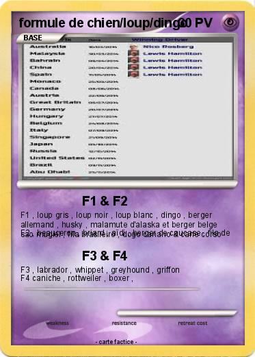 Pokemon formule de chien/loup/dingo