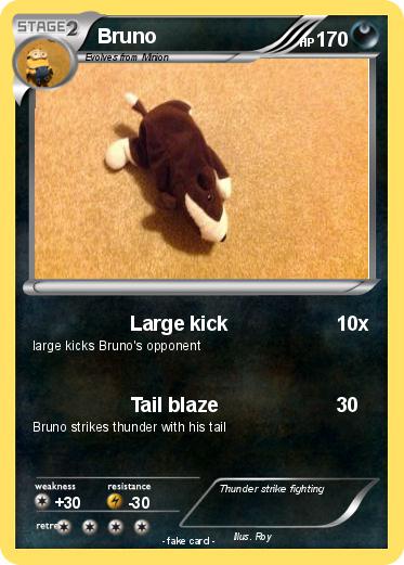 Pokemon Bruno