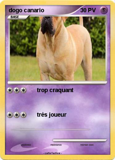 Pokemon dogo canario