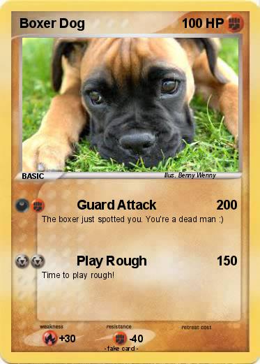 Pokemon Boxer Dog